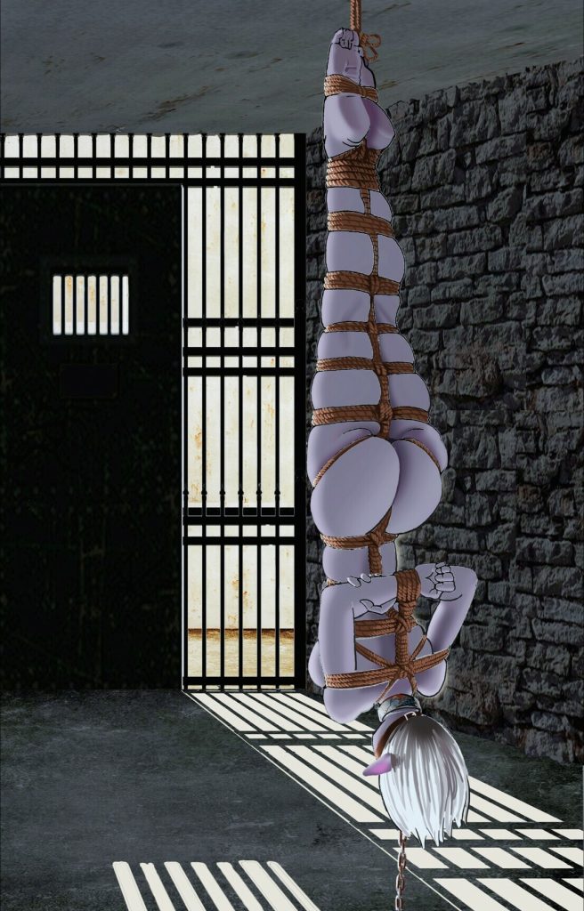 图片[2]-[斯德哥尔的绳缚故事] 杀手奴隶 - 5元站-5元站