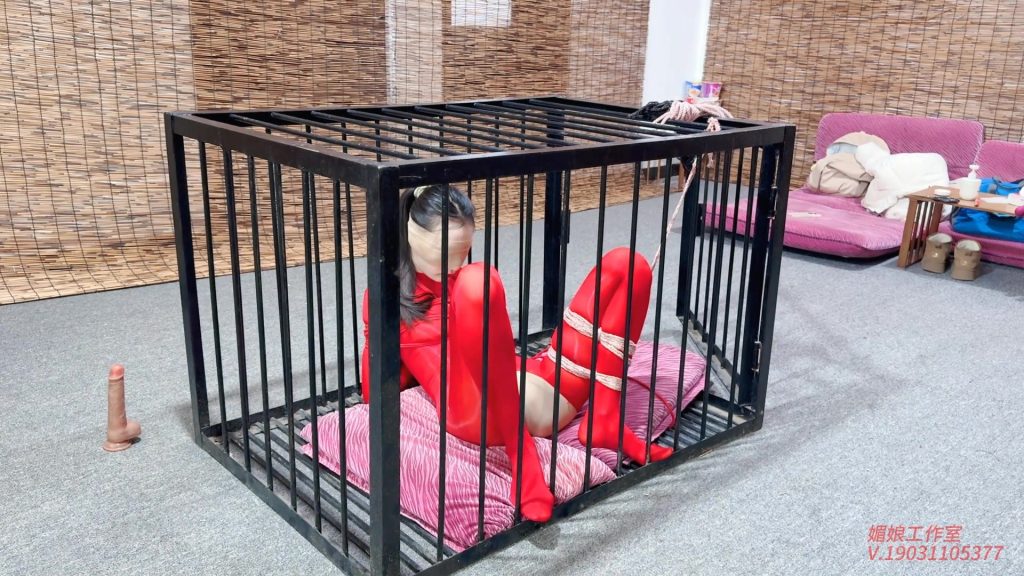 【媚娘工作室】笼中悬吊的瑾初-视频-5元站