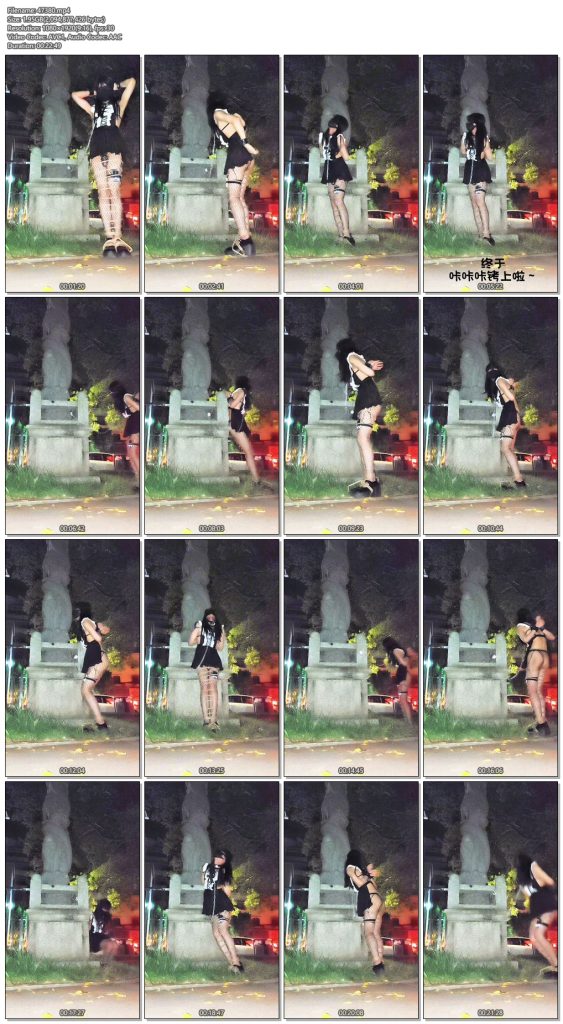 【一只松鼠】女仆装小男娘外出露出自缚被拴在马路边郊狼电击-视频-5元站