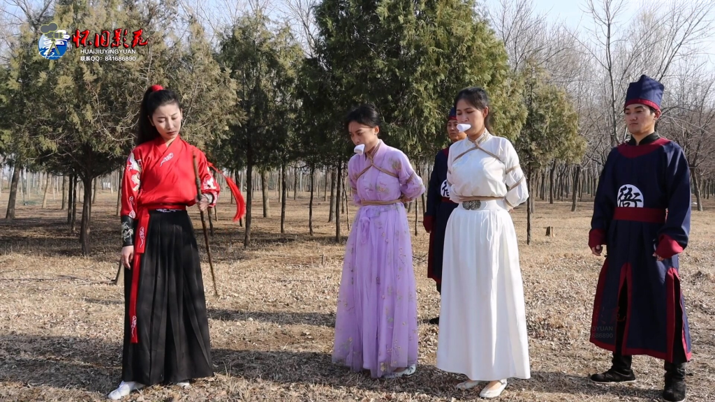 【怀旧影视】古装巨制 《锦衣风云》第一集-视频-5元站