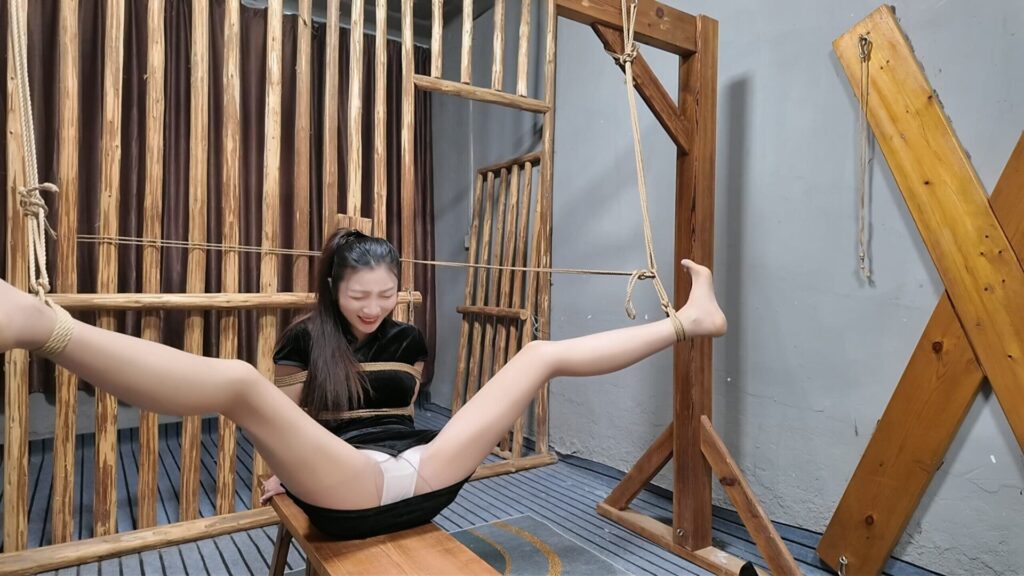 【李大侠原创】枪决罪犯佳佳-视频-5元站