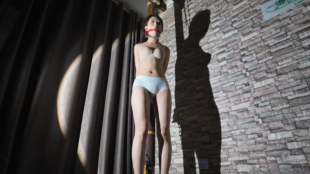 【一绳所爱】替罪2-示众-视频-5元站