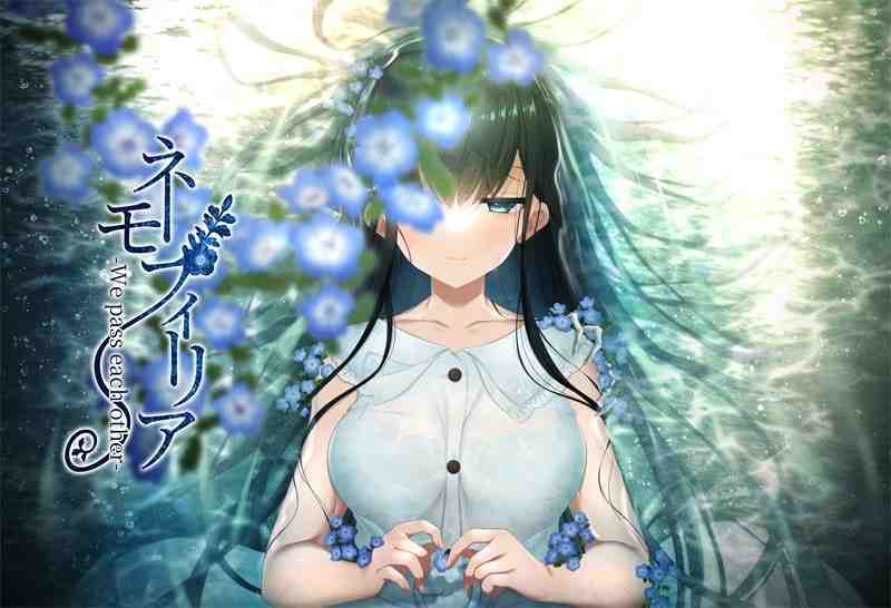 [ADV/PC/AI汉化/存档] 喜林草 -我们擦肩而过- ネモフィリア -We pass each other- v1.30-游戏-5元站