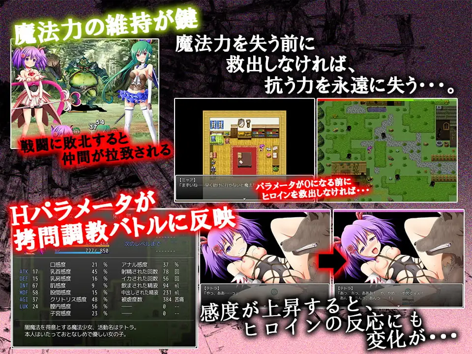 图片[3]-[RPG/PC/生肉] 魔法少女特特拉 ~两朵花屈服于折磨~ 魔法少女テトラ ～拘辱に屈した二つの花～-游戏-5元站