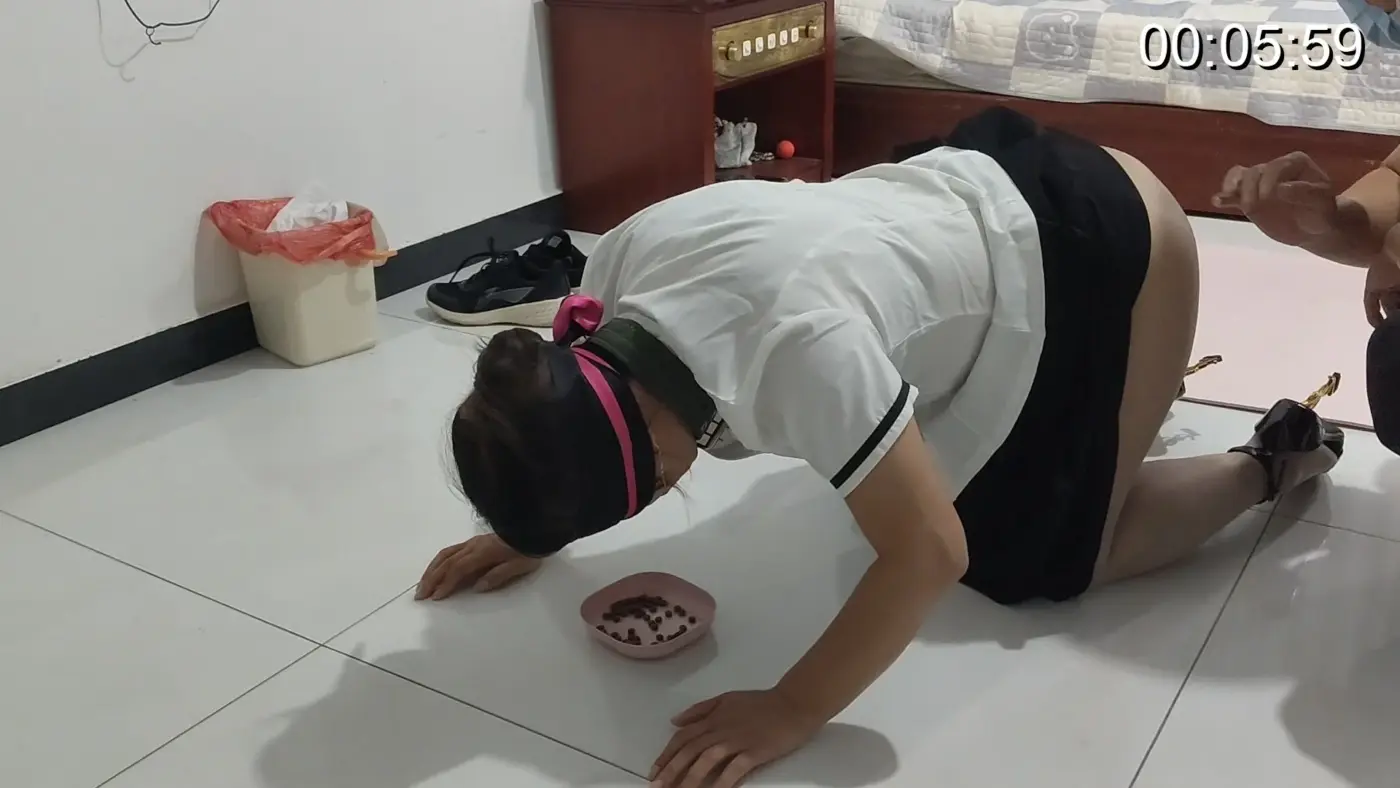 【磊哥原创】训练狗吃饭-视频-5元站