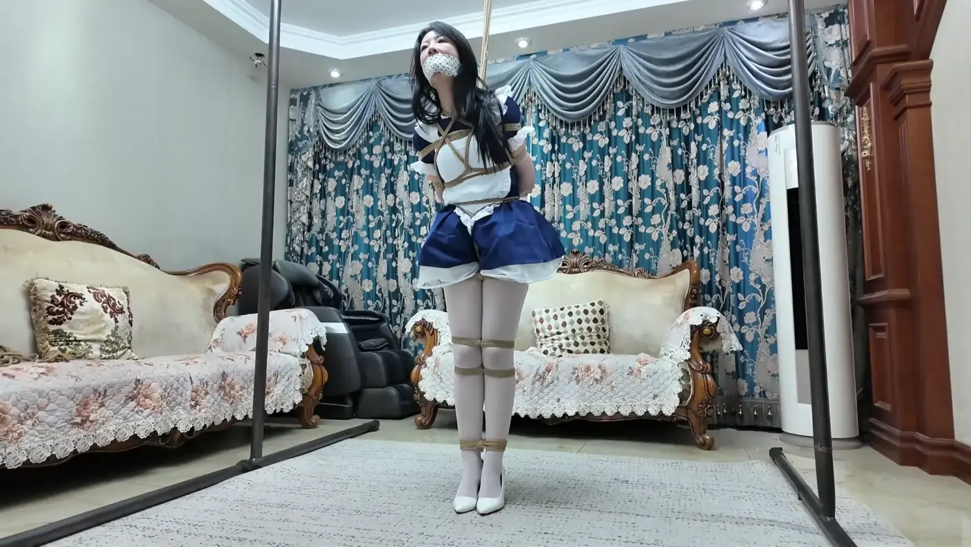 【枫叶工作室】《她们的故事·米粒·领导大人是女仆》【蓝调女仆】【白丝雪糕】【放置电疗】【罚站SP】-视频-5元站