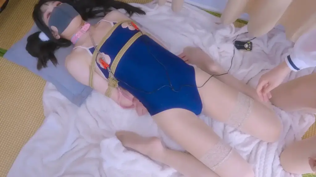 图片[2]-【刻猫猫不是色猫猫】【伪娘·乳夹·乳钉·电击·后入·惨叫·肉丝·死库水】-视频-5元站