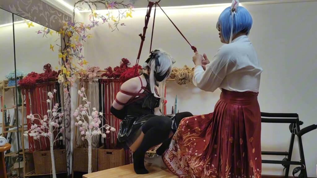 【球球工作室】猫妈的菊花由我来守护！-视频-5元站