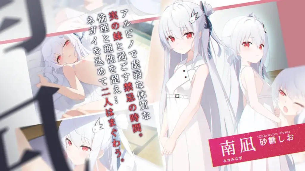 图片[2]-[ADV/PC/中文] 破碎的祈愿 カタネガイ-游戏-5元站