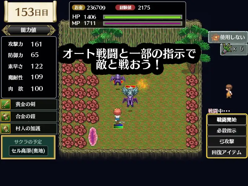 图片[3]-[RPG/PC/AI汉化/全CG] 迷雾废墟与一名剑士 霧の遺跡と一人の剣士 V1.01-游戏-5元站