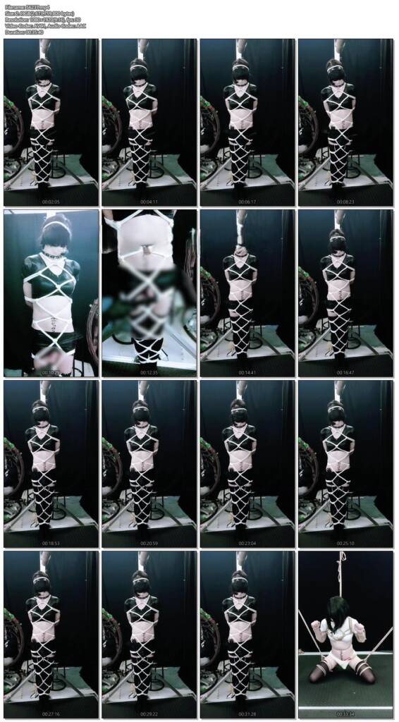 图片[2]-【小系】（纯享）地牢束缚RBQ放置折磨（伪娘）-视频-5元站